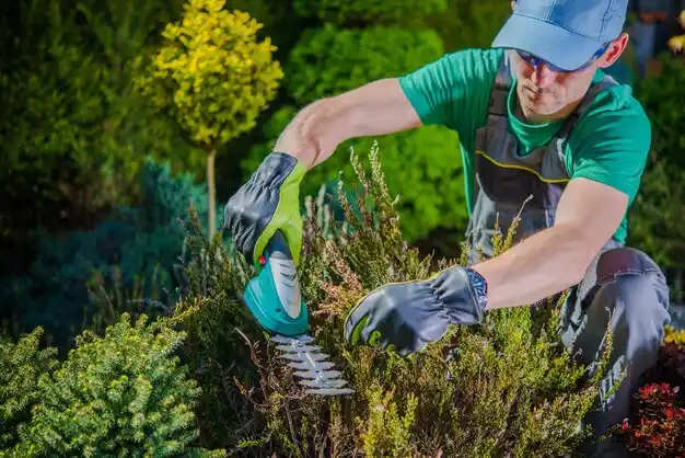 landscaping services Reddell